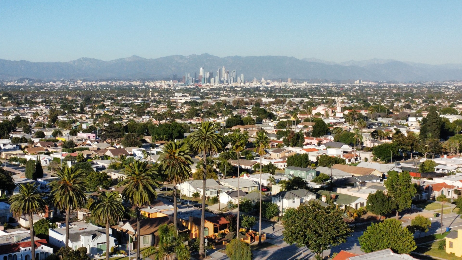 Aerial view of a city reveals a sprawling landscape of buildings: Los Angeles